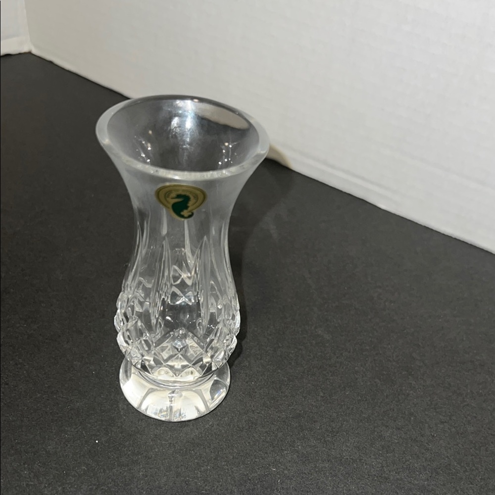 Elegant Clear Glass Vase